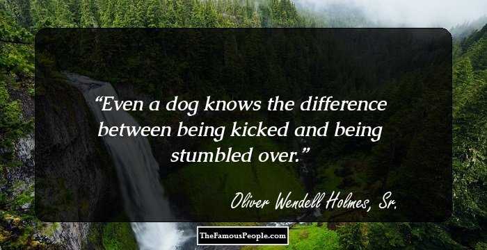 Even a dog knows the difference between being kicked and being stumbled over.