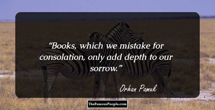 Books, which we mistake for consolation, only add depth to our sorrow.