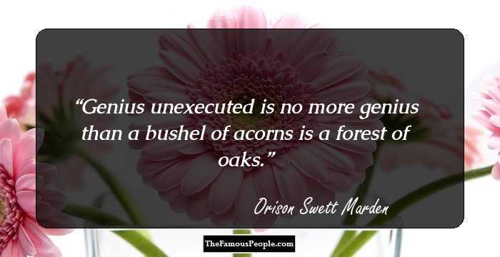 Genius unexecuted is no more genius than a bushel of acorns is a forest of oaks.