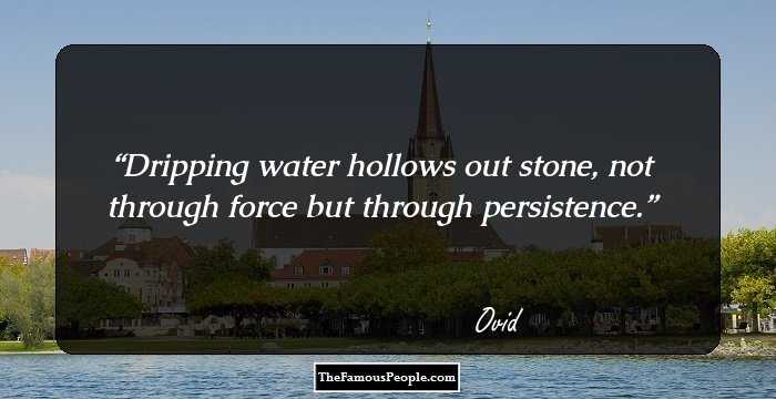 Dripping water hollows out stone, not through force but through persistence.