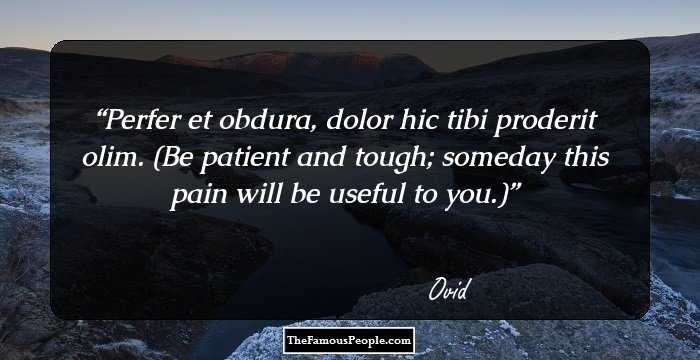 Perfer et obdura, dolor hic tibi proderit olim. (Be patient and tough; someday this pain will be useful to you.)