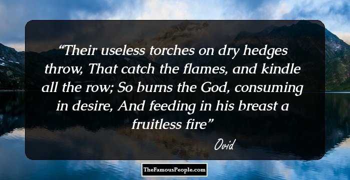 Their useless torches on dry hedges throw,
That catch the flames, and kindle all the row;
So burns the God, consuming in desire,
And feeding in his breast a fruitless fire