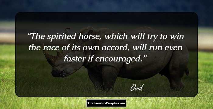 The spirited horse, which will try to win the race of its own accord, will run even faster if encouraged.