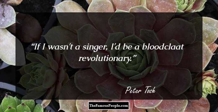 If I wasn't a singer, I'd be a bloodclaat revolutionary.