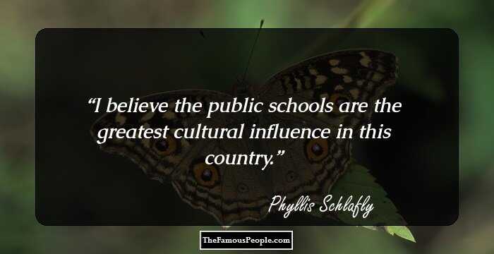 I believe the public schools are the greatest cultural influence in this country.