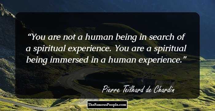 You are not a human being in search of a spiritual experience. You are a spiritual being immersed in a human experience.