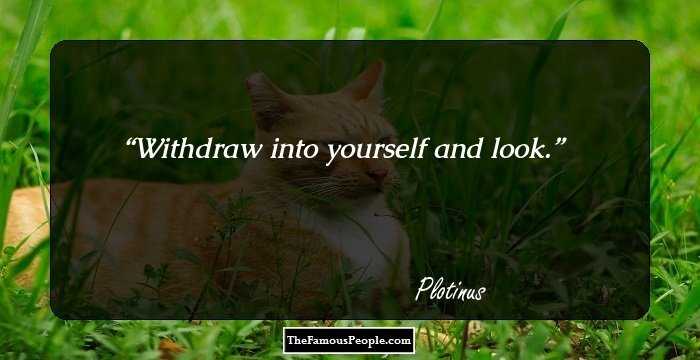 Withdraw into yourself and look.