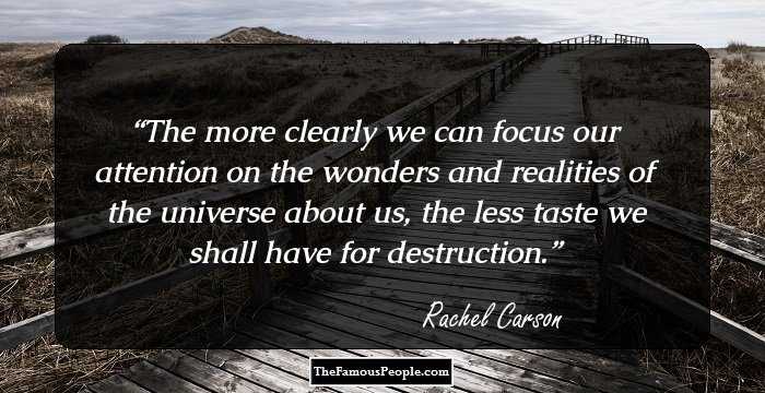 27 Inspiring Quotes By Rachel Carson That Will Nurture Your Love For Environment