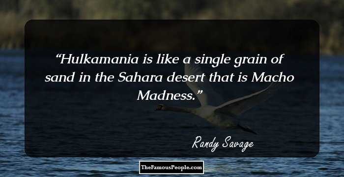 Hulkamania is like a single grain of sand in the Sahara desert that is Macho Madness.