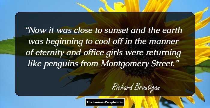 Now it was close to sunset and the earth was beginning to cool off in the manner of eternity and office girls were returning like penguins from Montgomery Street.