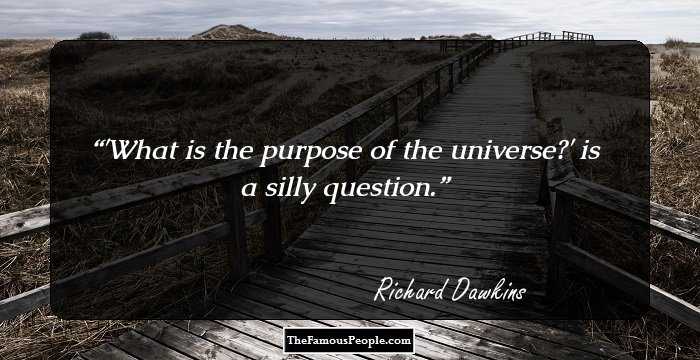 'What is the purpose of the universe?' is a silly question.