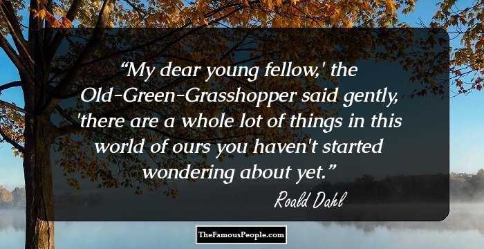 My dear young fellow,' the Old-Green-Grasshopper said gently, 'there are a whole lot of things in this world of ours you haven't started wondering about yet.