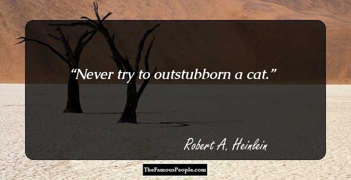 Never try to outstubborn a cat.