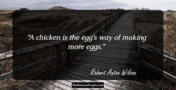 A chicken is the egg’s way of making more eggs.