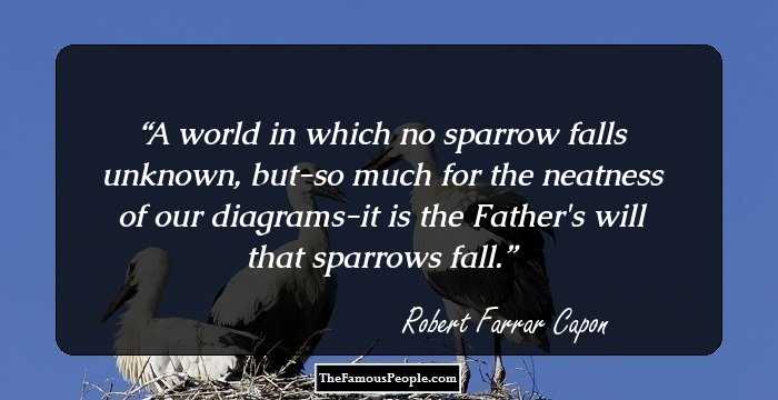 A world in which no sparrow falls unknown, but-so much for the neatness of our diagrams-it is the Father's will that sparrows fall.