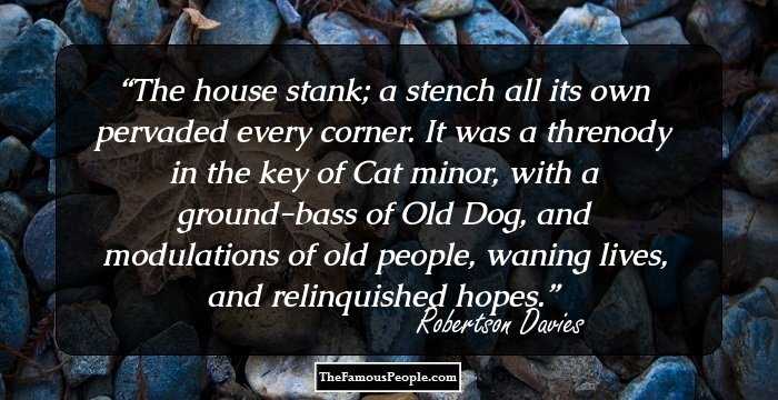 The house stank; a stench all its own pervaded every corner. It was a threnody in the key of Cat minor, with a ground-bass of Old Dog, and modulations of old people, waning lives, and relinquished hopes.