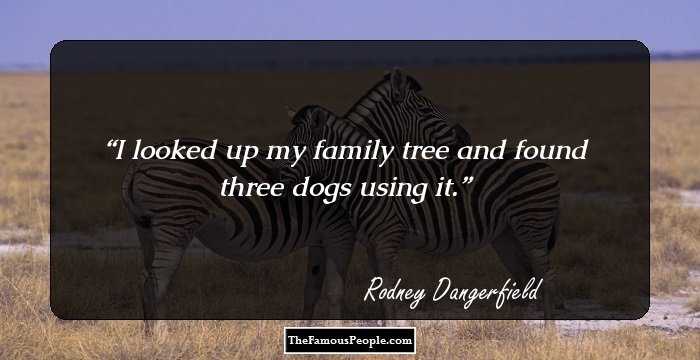 I looked up my family tree and found three dogs using it.