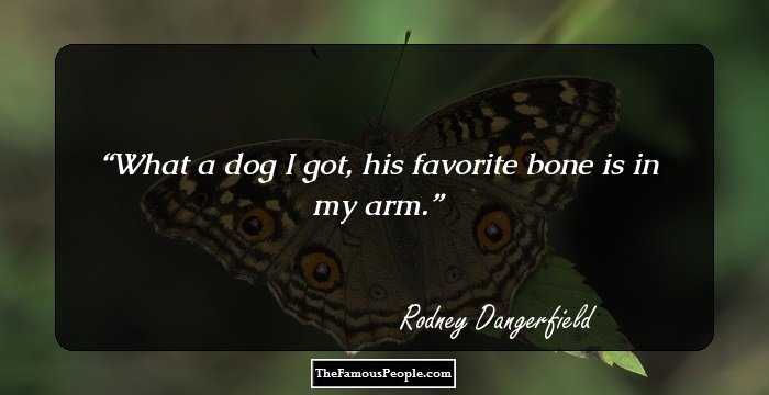 What a dog I got, his favorite bone is in my arm.