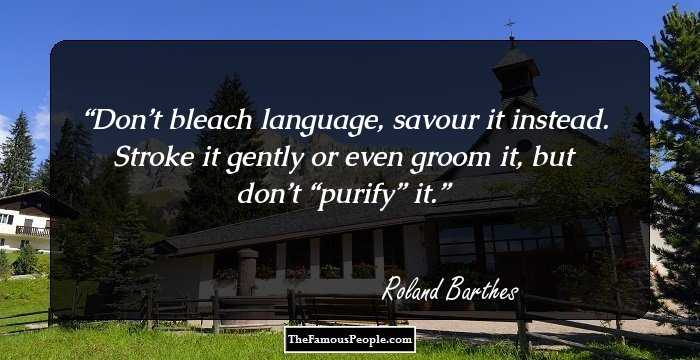 Don’t bleach language, savour it instead. Stroke it gently or even groom it, but don’t “purify” it.