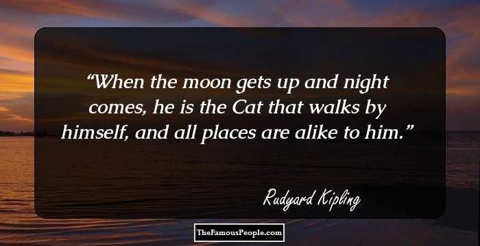 When the moon gets up and night comes, he is the Cat that walks by himself, and all places are alike to him.