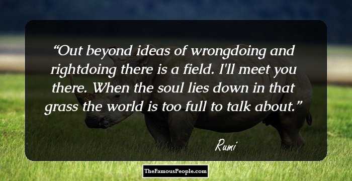 Out beyond ideas of wrongdoing 
and rightdoing there is a field.
I'll meet you there.

When the soul lies down in that grass
the world is too full to talk about.