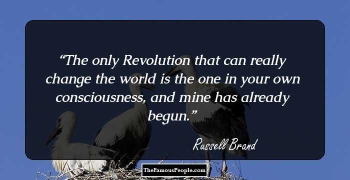 The only Revolution that can really change the world is the one in your own consciousness, and mine has already begun.