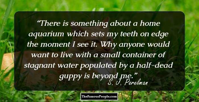 There is something about a home aquarium which sets my teeth on edge the moment I see it. Why anyone would want to live with a small container of stagnant water populated by a half-dead guppy is beyond me.