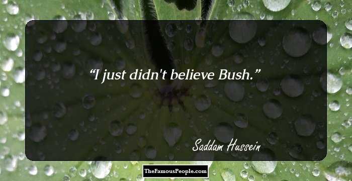 I just didn't believe Bush.