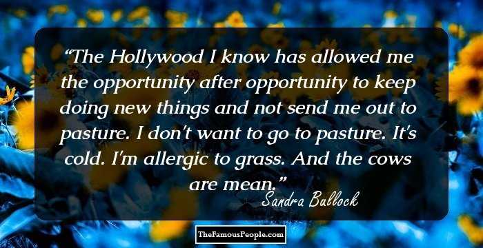 The Hollywood I know has allowed me the opportunity after opportunity to keep doing new things and not send me out to pasture. I don't want to go to pasture. It's cold. I'm allergic to grass. And the cows are mean.