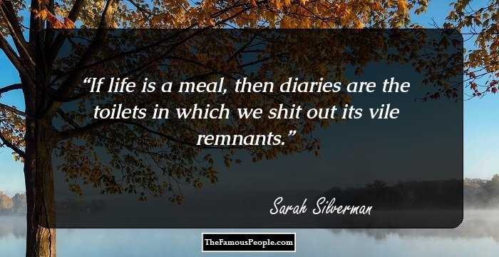 If life is a meal, then diaries are the toilets in which we shit out its vile remnants.
