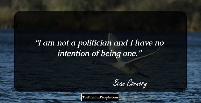 I am not a politician and I have no intention of being one.