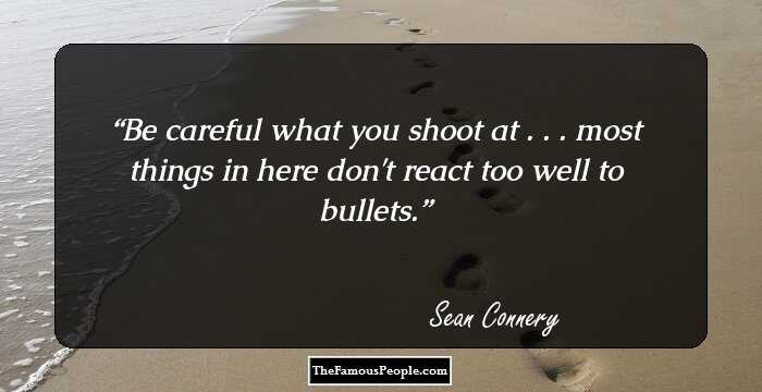Be careful what you shoot at . . . most things in here don't react too well to bullets.