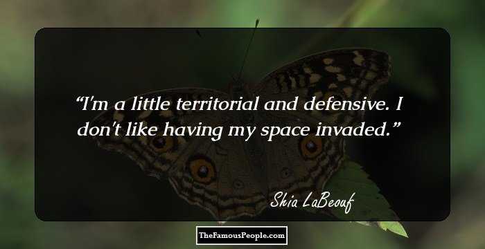 I'm a little territorial and defensive. I don't like having my space invaded.