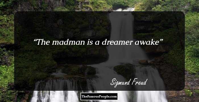 The madman is a dreamer awake