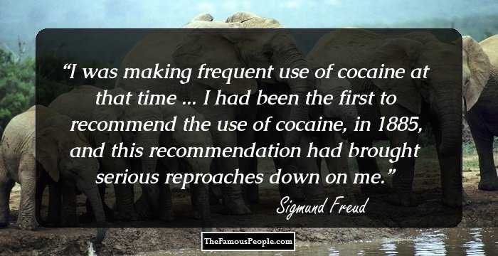 I was making frequent use of cocaine at that time ... I had been the first to recommend the use of cocaine, in 1885, and this recommendation had brought serious reproaches down on me.