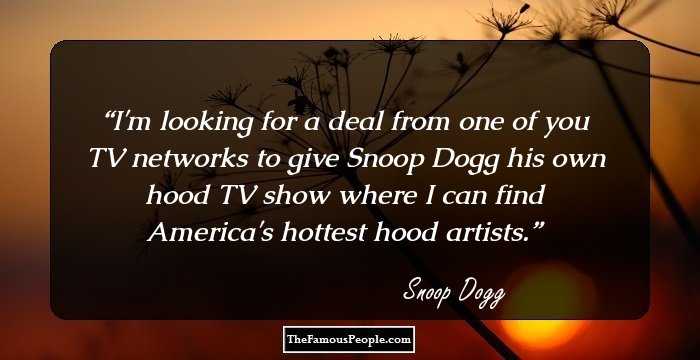I'm looking for a deal from one of you TV networks to give Snoop Dogg his own hood TV show where I can find America's hottest hood artists.