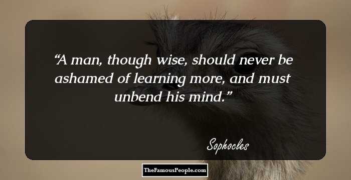 A man, though wise, should never be ashamed of learning more, and must unbend his mind.
