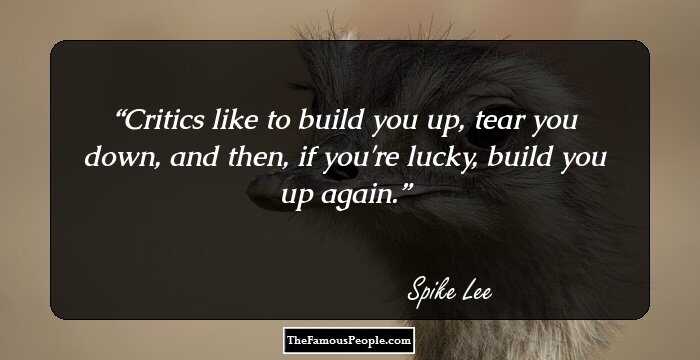 Critics like to build you up, tear you down, and then, if you're lucky, build you up again.