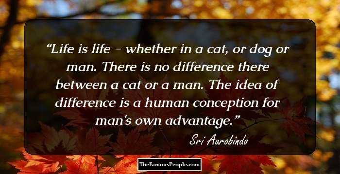 Life is life - whether in a cat, or dog or man. There is no difference there between a cat or a man. The idea of difference is a human conception for man's own advantage.