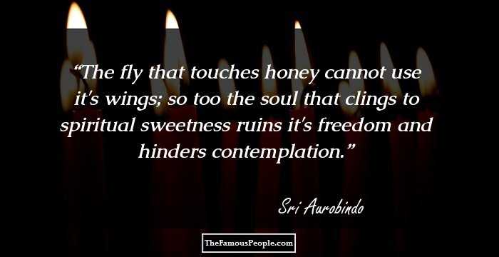 The fly that touches honey cannot use it's wings; so too the soul that clings to spiritual sweetness ruins it's freedom and hinders contemplation.