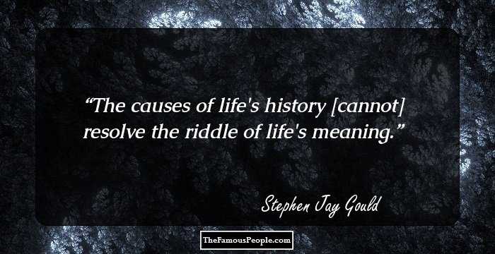 The causes of life's history [cannot] resolve the riddle of life's meaning.