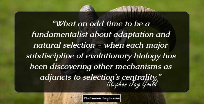 What an odd time to be a fundamentalist about adaptation and natural selection - when each major subdiscipline of evolutionary biology has been discovering other mechanisms as adjuncts to selection's centrality.