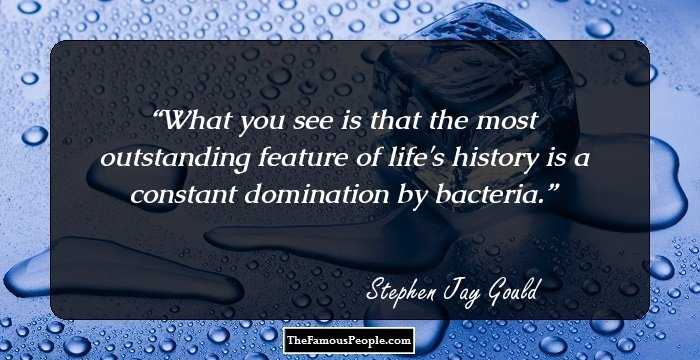 What you see is that the most outstanding feature of life's history is a constant domination by bacteria.