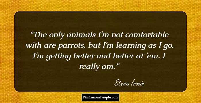 The only animals I'm not comfortable with are parrots, but I'm learning as I go. I'm getting better and better at 'em. I really am.