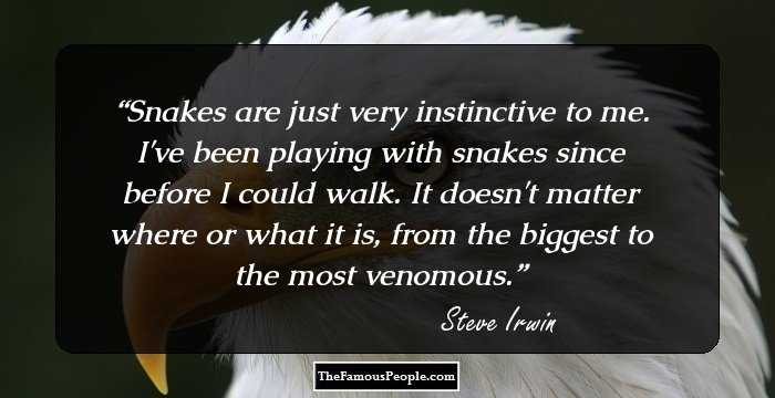 Snakes are just very instinctive to me. I've been playing with snakes since before I could walk. It doesn't matter where or what it is, from the biggest to the most venomous.