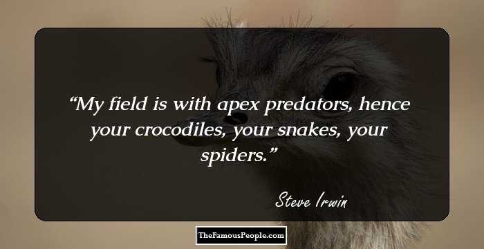 My field is with apex predators, hence your crocodiles, your snakes, your spiders.