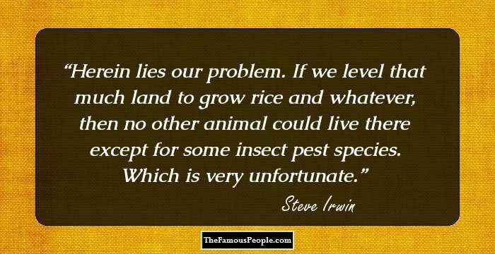 Herein lies our problem. If we level that much land to grow rice and whatever, then no other animal could live there except for some insect pest species. Which is very unfortunate.