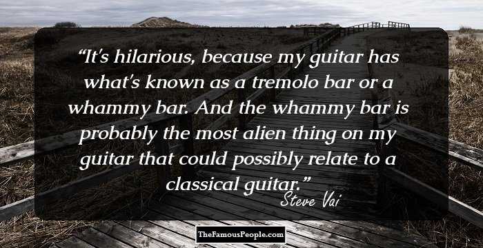 It's hilarious, because my guitar has what's known as a tremolo bar or a whammy bar. And the whammy bar is probably the most alien thing on my guitar that could possibly relate to a classical guitar.