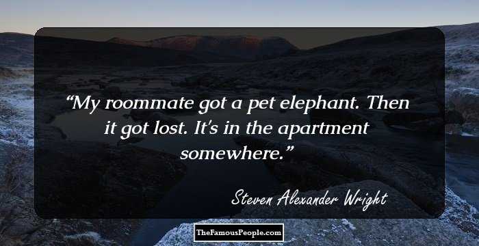 My roommate got a pet elephant. Then it got lost. It's in the apartment somewhere.