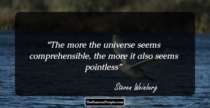 The more the universe seems comprehensible, the more it also seems pointless